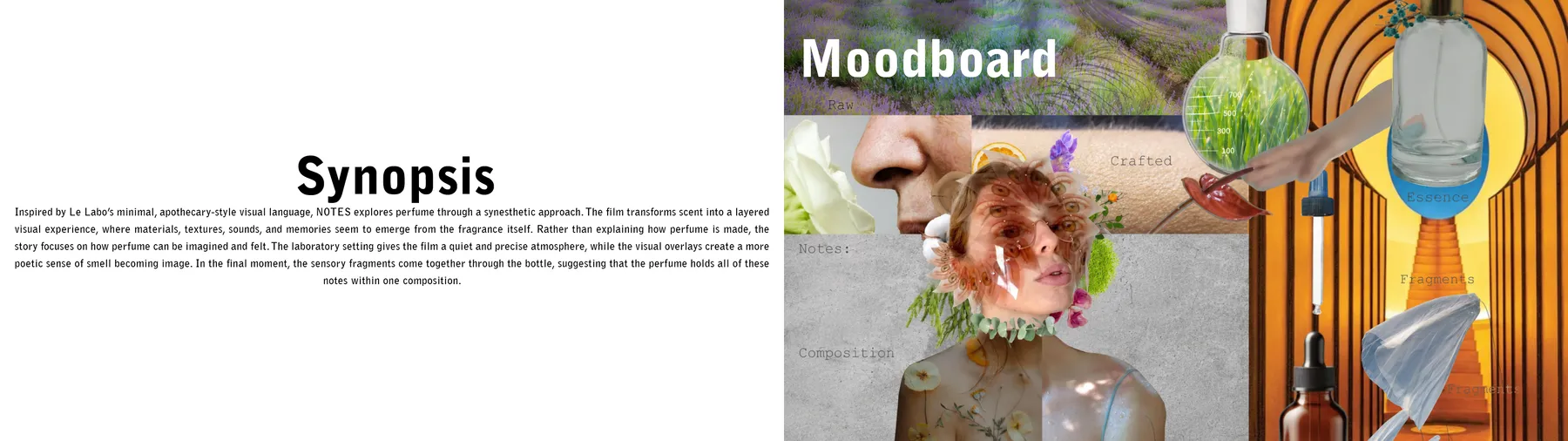 Synopsis and mood board slides